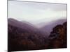 Smoky Mountains in the Mist-Rick Barrentine-Mounted Photographic Print