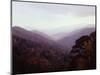 Smoky Mountains in the Mist-Rick Barrentine-Mounted Photographic Print