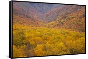 Smoky Mountains National Park, Fall Foliage in the Smoky Mountains National Park-Joanne Wells-Framed Stretched Canvas