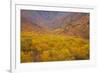 Smoky Mountains National Park, Fall Foliage in the Smoky Mountains National Park-Joanne Wells-Framed Photographic Print