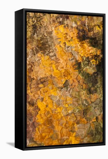 Smoky Mountains National Park, Fall Foliage Reflections in Litter River-Joanne Wells-Framed Stretched Canvas
