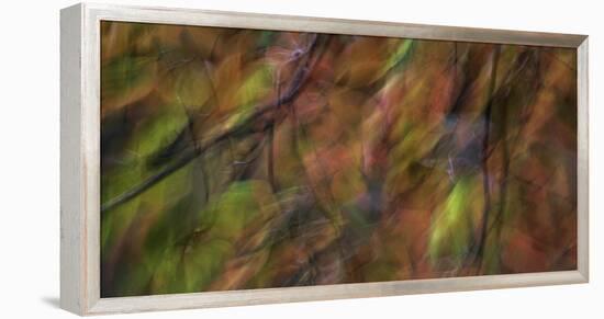 Smoky_Mountains_NC-Art Wolfe-Framed Stretched Canvas