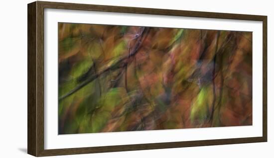 Smoky_Mountains_NC-Art Wolfe-Framed Photographic Print