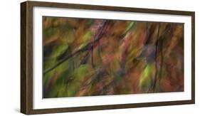 Smoky_Mountains_NC-Art Wolfe-Framed Photographic Print