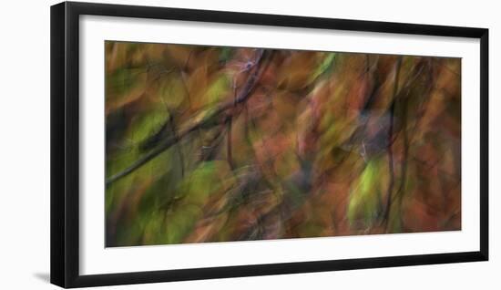 Smoky_Mountains_NC-Art Wolfe-Framed Photographic Print