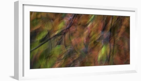 Smoky_Mountains_NC-Art Wolfe-Framed Photographic Print