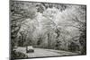 Smoky Mountains Roadway in Tennessee, Usa.-SeanPavonePhoto-Mounted Photographic Print