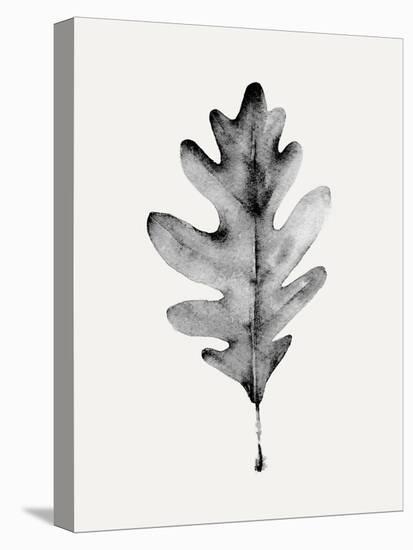Smoky Oak Leaf I-Emma Caroline-Stretched Canvas