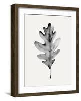 Smoky Oak Leaf I-Emma Caroline-Framed Art Print