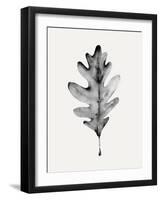 Smoky Oak Leaf I-Emma Caroline-Framed Art Print