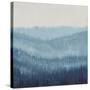 Smoky Ridge I-Tim OToole-Stretched Canvas