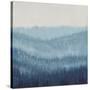 Smoky Ridge I-Tim OToole-Stretched Canvas