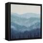 Smoky Ridge II-Tim OToole-Framed Stretched Canvas