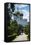 Smolensk Cathedral, Novodevichy Convent, Moscow, Russia, Europe-Michael Runkel-Framed Stretched Canvas