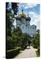 Smolensk Cathedral, Novodevichy Convent, Moscow, Russia, Europe-Michael Runkel-Stretched Canvas