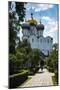 Smolensk Cathedral, Novodevichy Convent, Moscow, Russia, Europe-Michael Runkel-Mounted Photographic Print