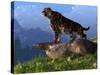 Smolodon On a Mountainside-Stocktrek Images-Stretched Canvas