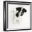 Smooth Coated Jack Russell Terrier Puppy, Black and White, 9 Weeks, Looking Up, Barking-Mark Taylor-Framed Photographic Print