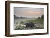 Smooth-coated otter about to enter a marsh at dawn, Dudhwa National Park, India-Ben Cranke-Framed Photographic Print