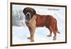 Smooth Coated Saint Bernard-null-Framed Art Print