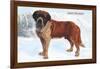 Smooth Coated Saint Bernard-null-Framed Art Print