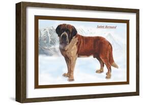 Smooth Coated Saint Bernard-null-Framed Art Print