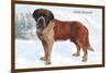 Smooth Coated Saint Bernard-null-Mounted Art Print