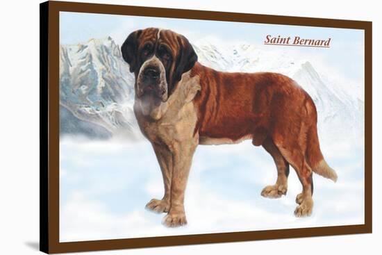 Smooth Coated Saint Bernard-null-Stretched Canvas