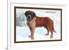 Smooth Coated Saint Bernard-null-Framed Art Print