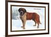 Smooth Coated Saint Bernard-null-Framed Art Print