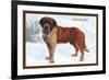 Smooth Coated Saint Bernard-null-Framed Art Print