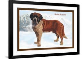 Smooth Coated Saint Bernard-null-Framed Art Print