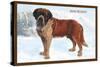 Smooth Coated Saint Bernard-null-Stretched Canvas