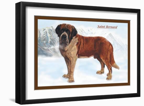 Smooth Coated Saint Bernard-null-Framed Art Print