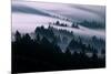 Smooth Fog Flow, San Francisco, Mount Tamalpais-Vincent James-Mounted Photographic Print