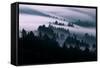 Smooth Fog Flow, San Francisco, Mount Tamalpais-Vincent James-Framed Stretched Canvas