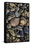 Smooth granite pebbles on beach of Lake Superior, Whitefish Point, Michigan-Adam Jones-Framed Stretched Canvas