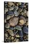 Smooth granite pebbles on beach of Lake Superior, Whitefish Point, Michigan-Adam Jones-Stretched Canvas