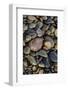 Smooth granite pebbles on beach of Lake Superior, Whitefish Point, Michigan-Adam Jones-Framed Photographic Print