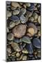 Smooth granite pebbles on beach of Lake Superior, Whitefish Point, Michigan-Adam Jones-Mounted Photographic Print