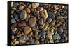 Smooth granite pebbles on beach of Lake Superior, Whitefish Point, Michigan-Adam Jones-Framed Stretched Canvas