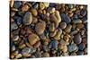 Smooth granite pebbles on beach of Lake Superior, Whitefish Point, Michigan-Adam Jones-Stretched Canvas