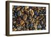 Smooth granite pebbles on beach of Lake Superior, Whitefish Point, Michigan-Adam Jones-Framed Photographic Print