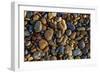 Smooth granite pebbles on beach of Lake Superior, Whitefish Point, Michigan-Adam Jones-Framed Photographic Print