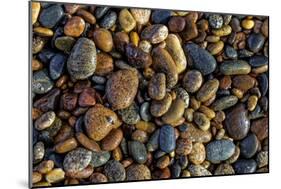 Smooth granite pebbles on beach of Lake Superior, Whitefish Point, Michigan-Adam Jones-Mounted Photographic Print