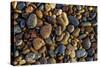 Smooth granite pebbles on beach of Lake Superior, Whitefish Point, Michigan-Adam Jones-Stretched Canvas