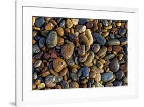 Smooth granite pebbles on beach of Lake Superior, Whitefish Point, Michigan-Adam Jones-Framed Premium Photographic Print