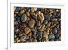 Smooth granite pebbles on beach of Lake Superior, Whitefish Point, Michigan-Adam Jones-Framed Premium Photographic Print