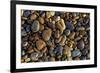 Smooth granite pebbles on beach of Lake Superior, Whitefish Point, Michigan-Adam Jones-Framed Premium Photographic Print