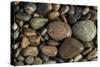 Smooth granite pebbles on beach of Lake Superior, Whitefish Point, Michigan-Adam Jones-Stretched Canvas